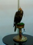 DSC00577 DSC00577